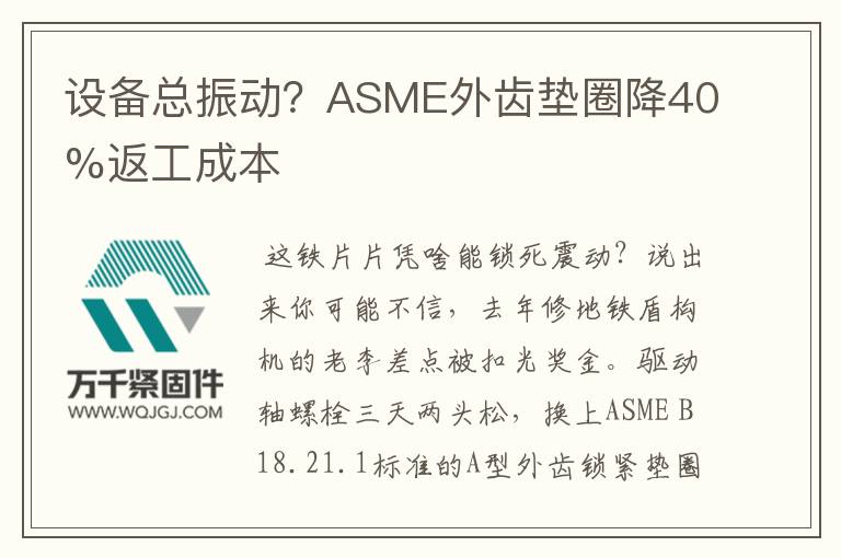 設備總振動？ASME外齒墊圈降40%返工成本