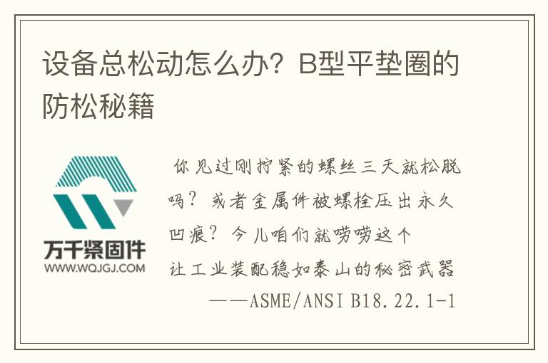 設備總松動怎么辦？B型平墊圈的防松秘籍