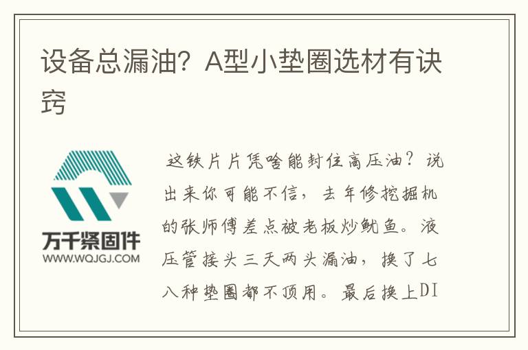 設(shè)備總漏油？A型小墊圈選材有訣竅
