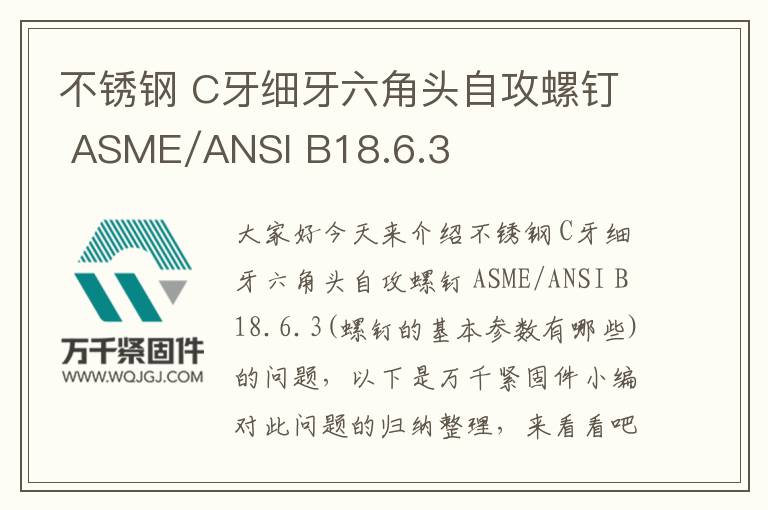 不銹鋼 C牙細牙六角頭自攻螺釘 ASME/ANSI B18.6.3