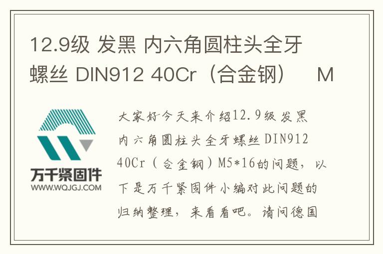 12.9級 發黑 內六角圓柱頭全牙螺絲 DIN912 40Cr（合金鋼）	M5*16