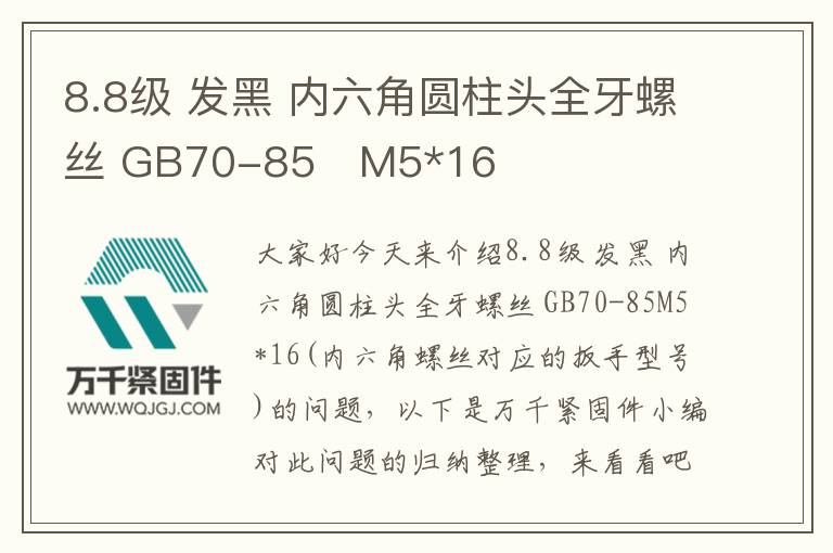8.8級(jí) 發(fā)黑 內(nèi)六角圓柱頭全牙螺絲 GB70-85	M5*16