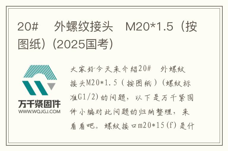 20#    外螺紋接頭	M20*1.5（按圖紙）(2025國考)