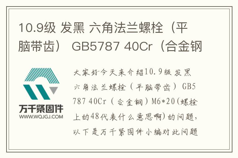10.9級 發黑 六角法蘭螺栓（平腦帶齒） GB5787 40Cr（合金鋼）	M6*20