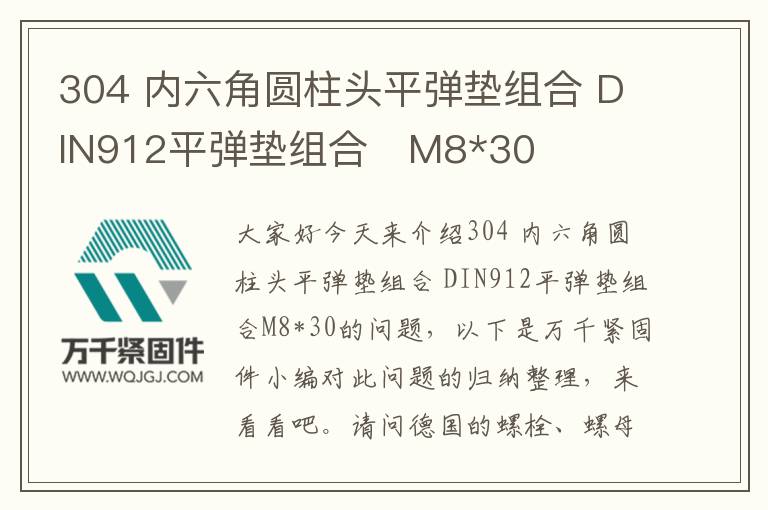 304 內六角圓柱頭平彈墊組合 DIN912平彈墊組合	M8*30